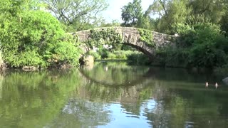 New York, NY — Central Park #1