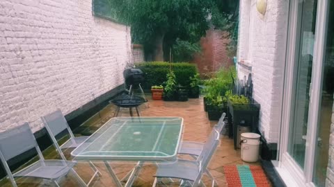 Nature's Serenade: Raindrops in a Cozy Backyard in France 🌧️