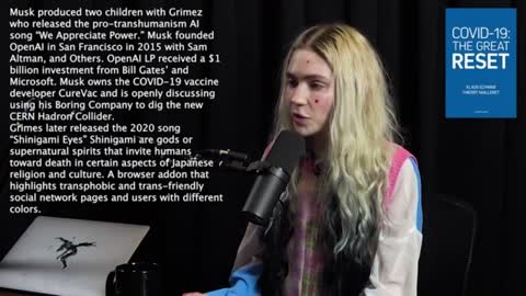 Grimes "AI Is Actually the Fastest Path to Communism."