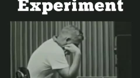 The Miligram Experiment - How Do We Respond To Authority