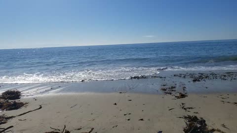 Spectacular Santa Cruz Beach, Pacific Ocean