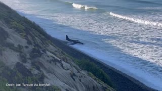 Plane makes emergency beach landing