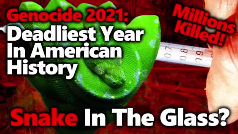 GENOCIDE CONFIRMED 3.5 MILLION Americans Died In 2021. Deadliest Year EVER in USA. Vaccine Madness!