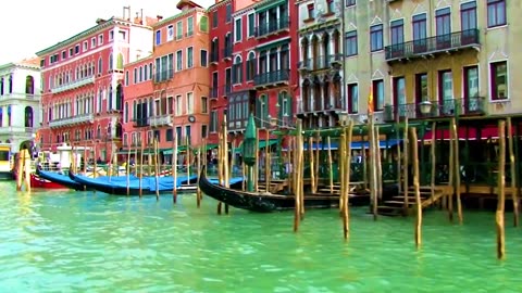 VENICE In One Video