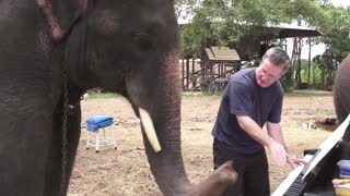 Piano duet with Peter the Elephant in Thailand