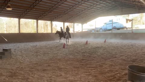 learning posting trot ( beginners)