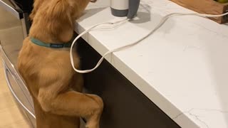 Lucky Puppy Licks Beaters Clean