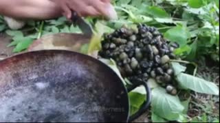 Survival Cooking Skill