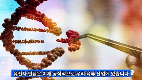 MRNA백신 가축에 주입