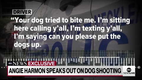 'Did you just shoot my dog_' Actress Angie Harmon speaks after ABC News