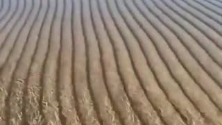 Water rippling over sand