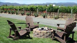 Napa Valley Bike Tour Photos Summer 2021