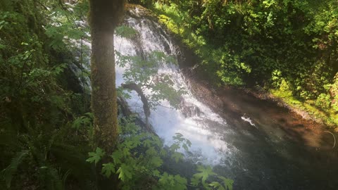 Hiking Approach to Drake Waterfall! | Trail of Ten Falls | Silver Falls State Park | Oregon | 4K