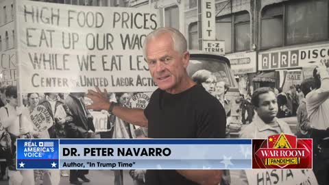Peter Navarro: Republicans Have No Discipline, We’re in Deep Trouble