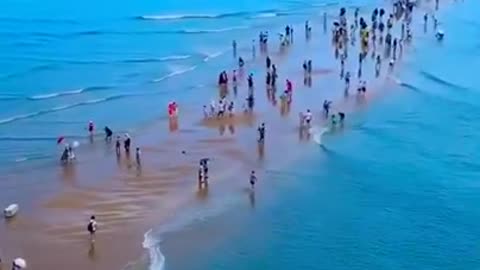 Moisés Path/Brazilian Sea