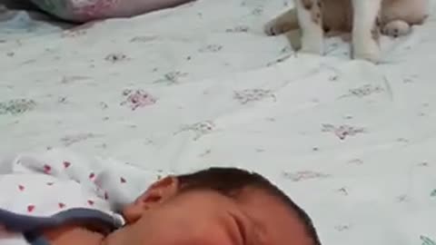 Cat meets newborn baby for the first time. "HIS REACTION "😅