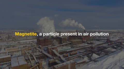Tiny Magnetic Particles in Air Pollution Linked to Increased Alzheimer’s Risk