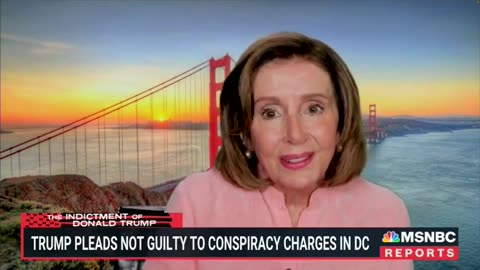 Nancy Pelosi Says Trump Looked Like A 'Scared Puppy' When Going To Court