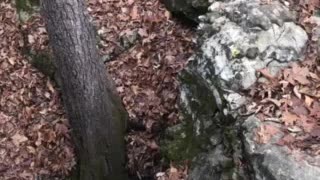 Ancient Walls of Jericho in Alabama!