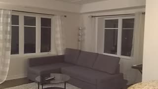 Condo lounge