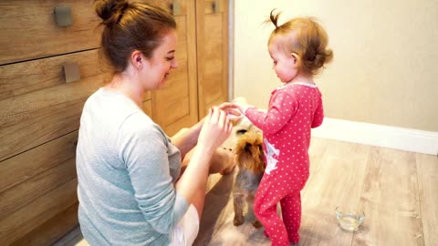 Tiny Puppy Playing with the Cute girl #Rumble#shorts#Puppy#Puppyworldlovers