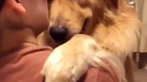 Dog giving hugs