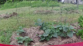 Catskills Hay Bale Garden- tractor tour HD