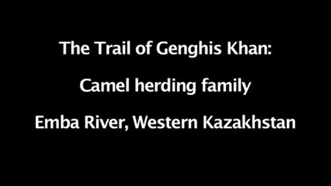 CAMEL HERDING & MILKING, KAZAKHSTAN_Cut