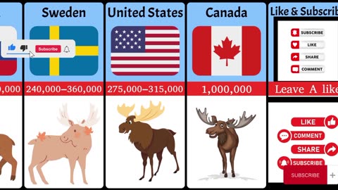 Population of Moose From Different Countries