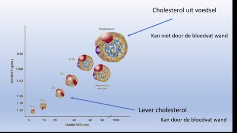 Pierre Capel - The Good The Bad and The Healthy