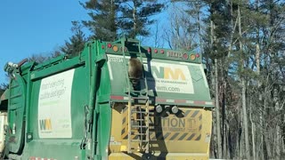 Raccoon Goes for a Garbage Truck Ride