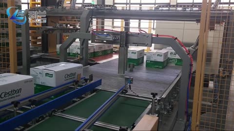 Double lane palletizer for water line best quality | ShangHai LiLan