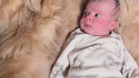 Best compilation Baby and dog grow up happily together❤️❤️❤️