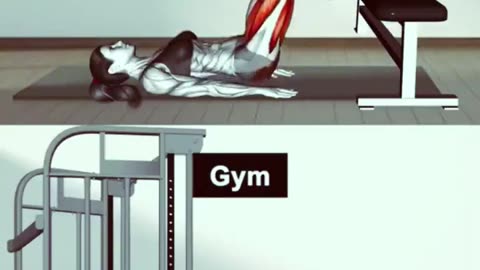 Exercises for gym and home