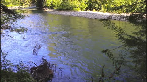 Silver Fir Campground Site 8 Mt. Baker Wa