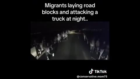 Illegals blocking roads and trying to rob truck driver..