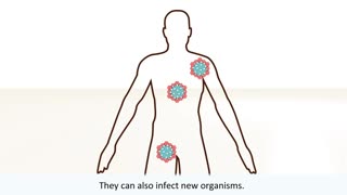 Difference between Bacteria and viruses.