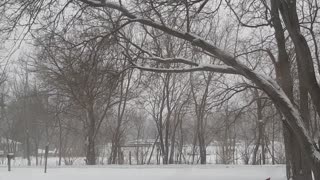 Robert Frost "Stopping By Woods On A Snowy Evening" (Remake)