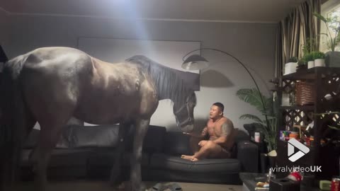 Guy has a horse in his house || Viral Video UK