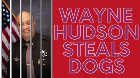 Wayne Hudson Steals Dogs (punk Afrobeat)