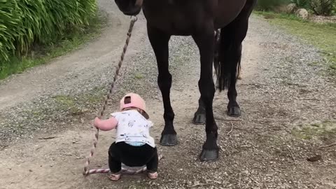 Little Girl Leads Horse!
