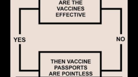 Then Vaccine Passports Are Pointless (voix de synthèse) (VOST)