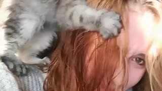 Kitten give crazy sharp hug