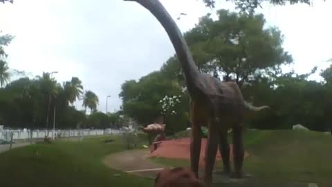 Escultura de um braquiossauro de mais de 5 metros no museu de ciências [Nature & Animals]