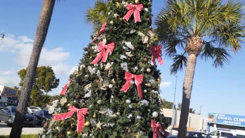 Navidad en la Florida