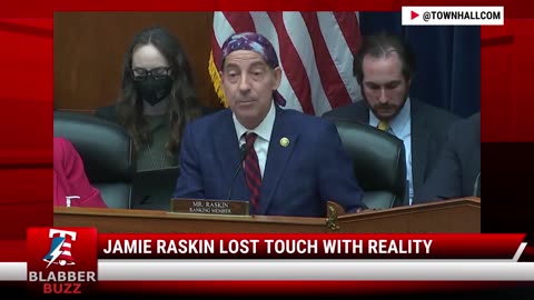 Jamie Raskin Lost Touch With Reality
