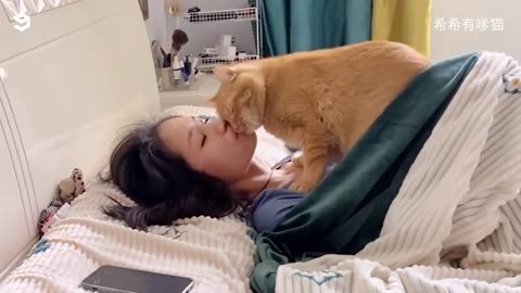 cat sleeping with owner