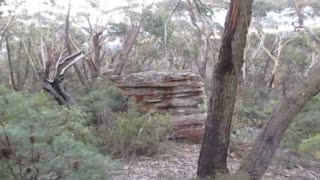 large rock - Outside Adventures