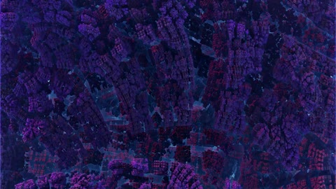 fractal explor oo_1