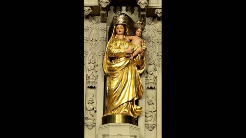 Fr Hewko, 12th Sunday After Pentecost 8/20/23 "Our Lady of Prompt Succor, Pray For Us!" (LA)